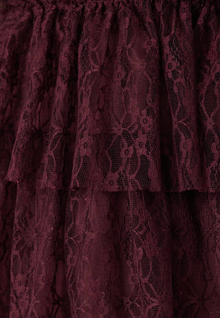 Frill Lace Dress