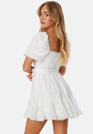 Charlize Embroidered Mini Dress