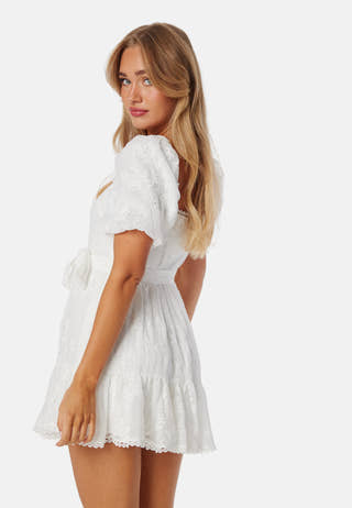 Charlize Embroidered Mini Dress