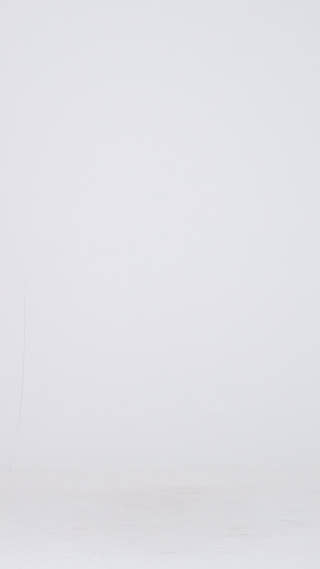 glitter-evening-dress-pink-793037200.mp4